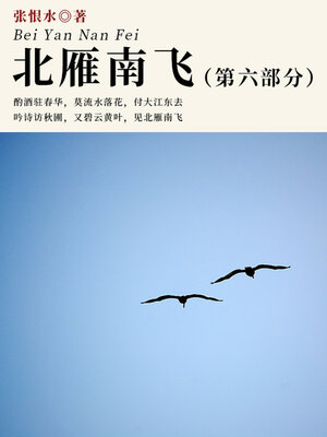 cover image of 北雁南飞·第六部分（张恨水经典小说）